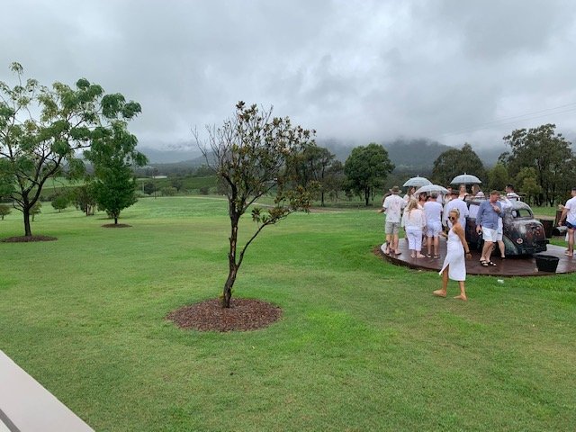 image1-copy.jpeg