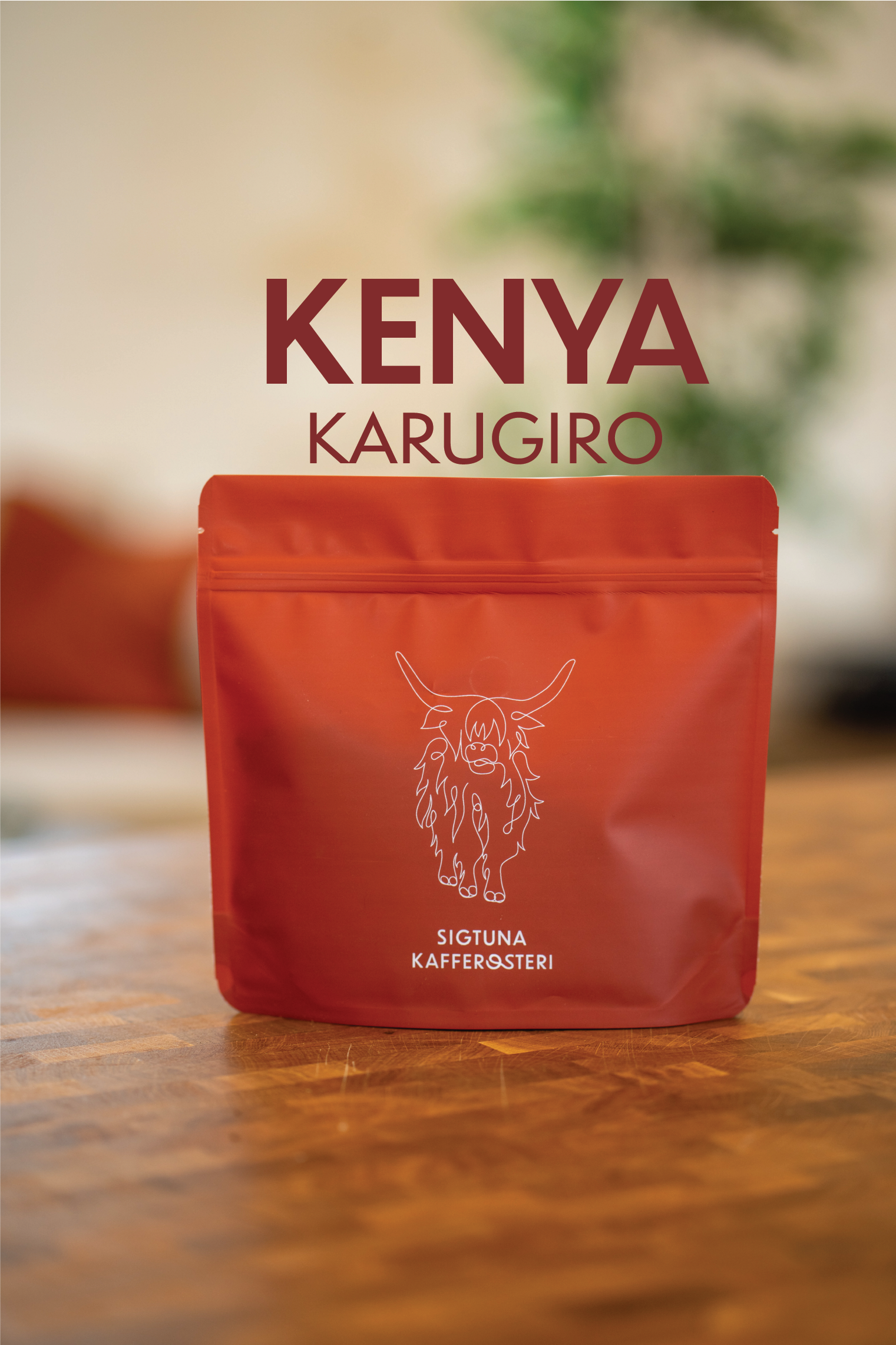 Kenya3.png