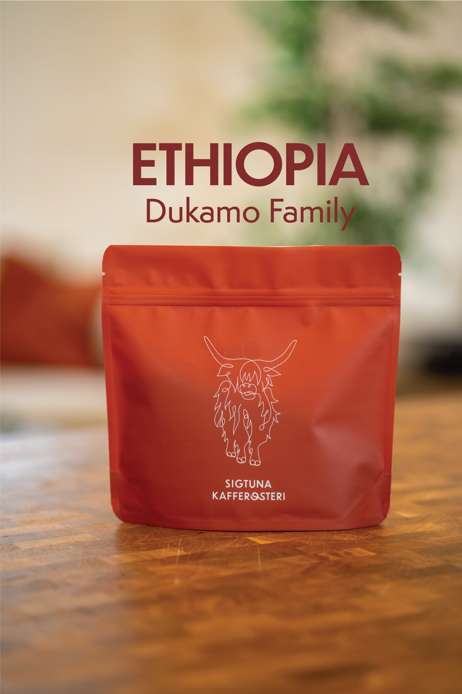 Ethiopia.png