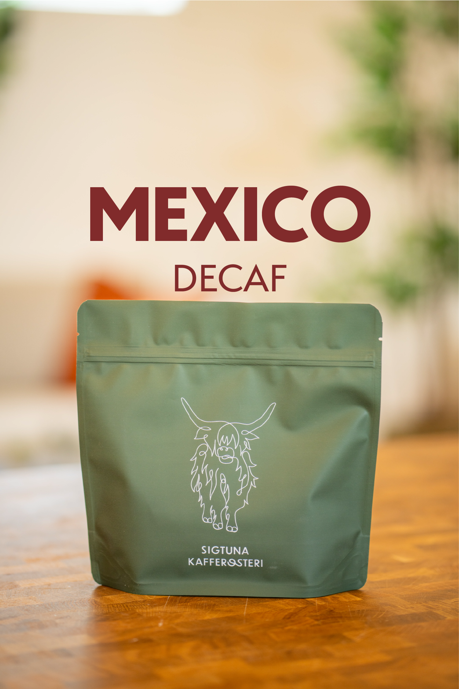 Mexico.png