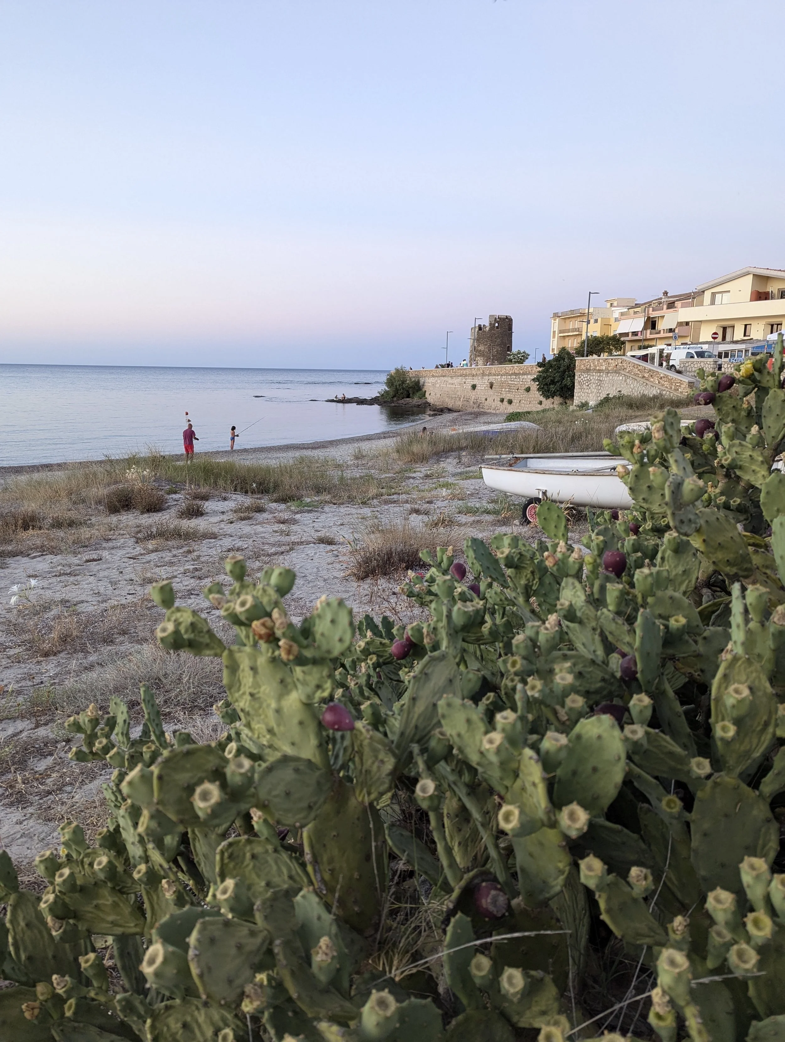 Fragrant pine groves and white beach in Santa Lucia fisherman town Sardinia