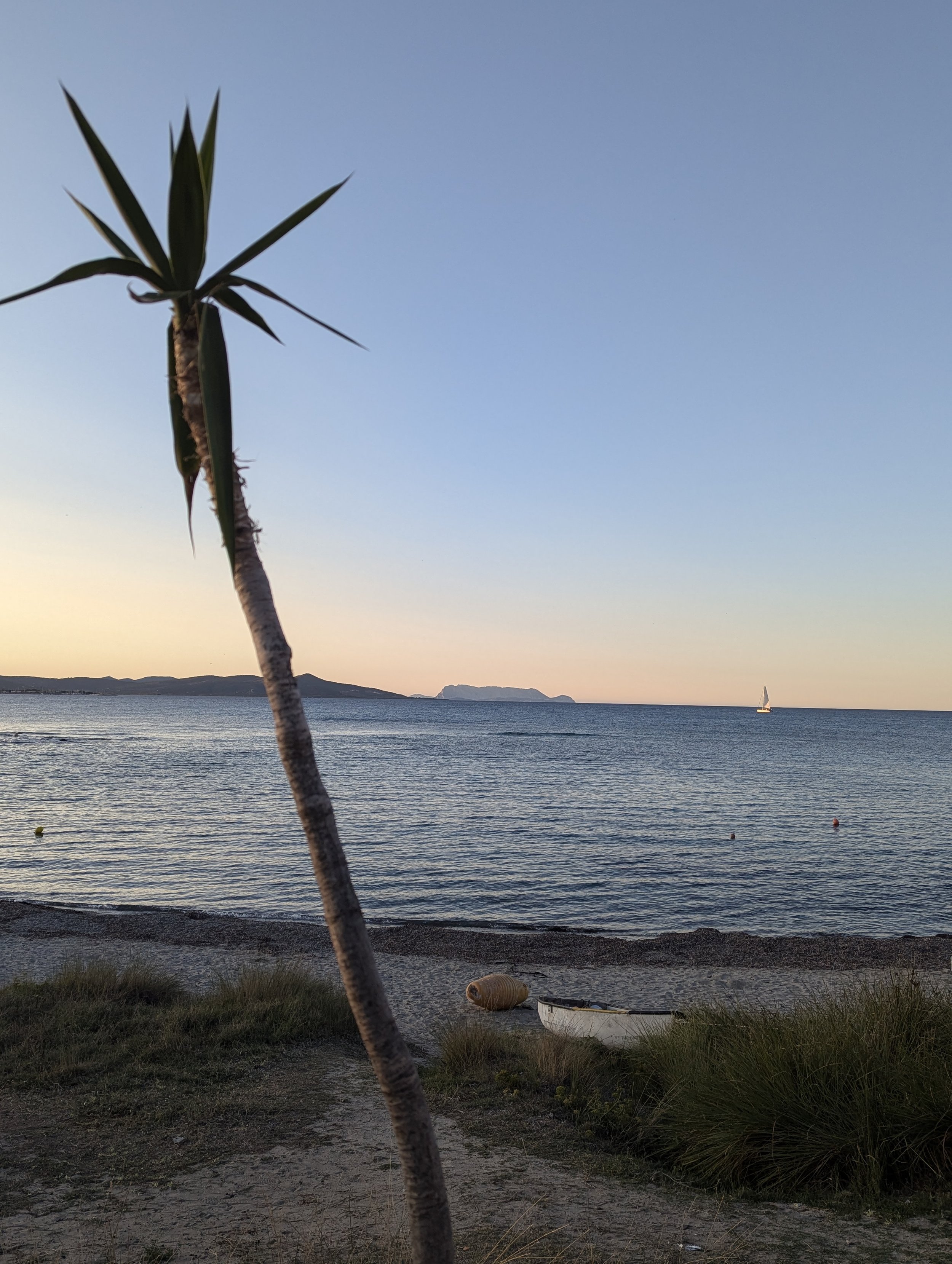 Fragrant pine groves and white beach in Santa Lucia fisherman town Sardinia