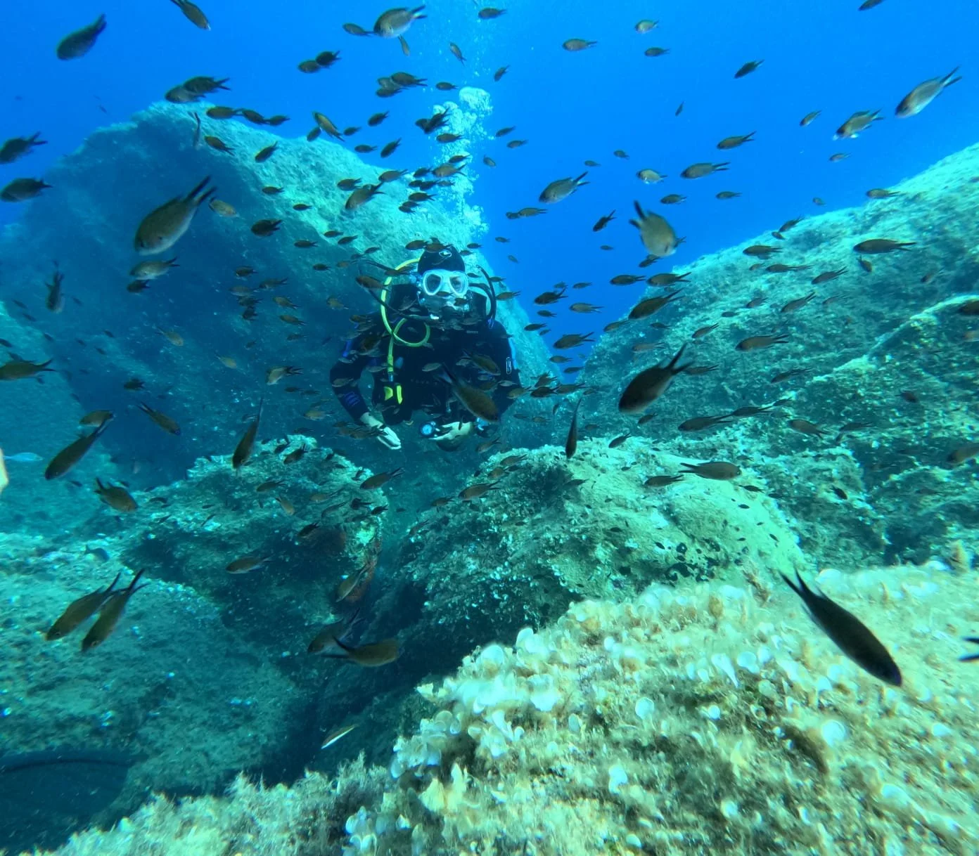 Scuba diving with Abyssos Diving School in La Caletta Sardinia