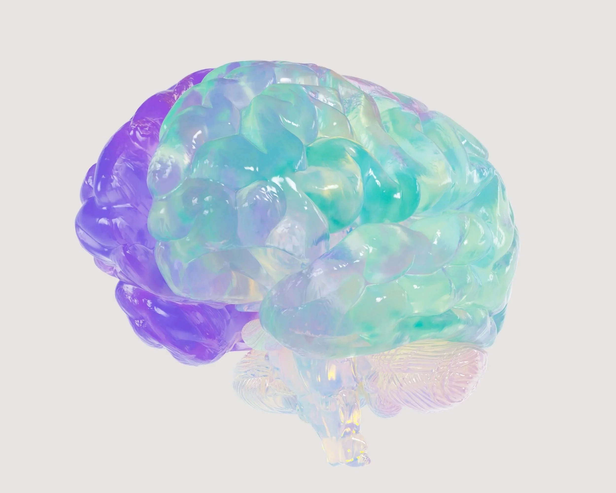 AN IMAGE OF A BRAIN