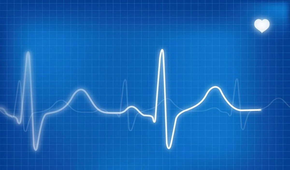 VFC et Leadership : Comment la variabilité cardiaque pilote la décision stratégique