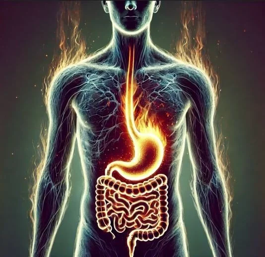 Énergie, inflammation et décision