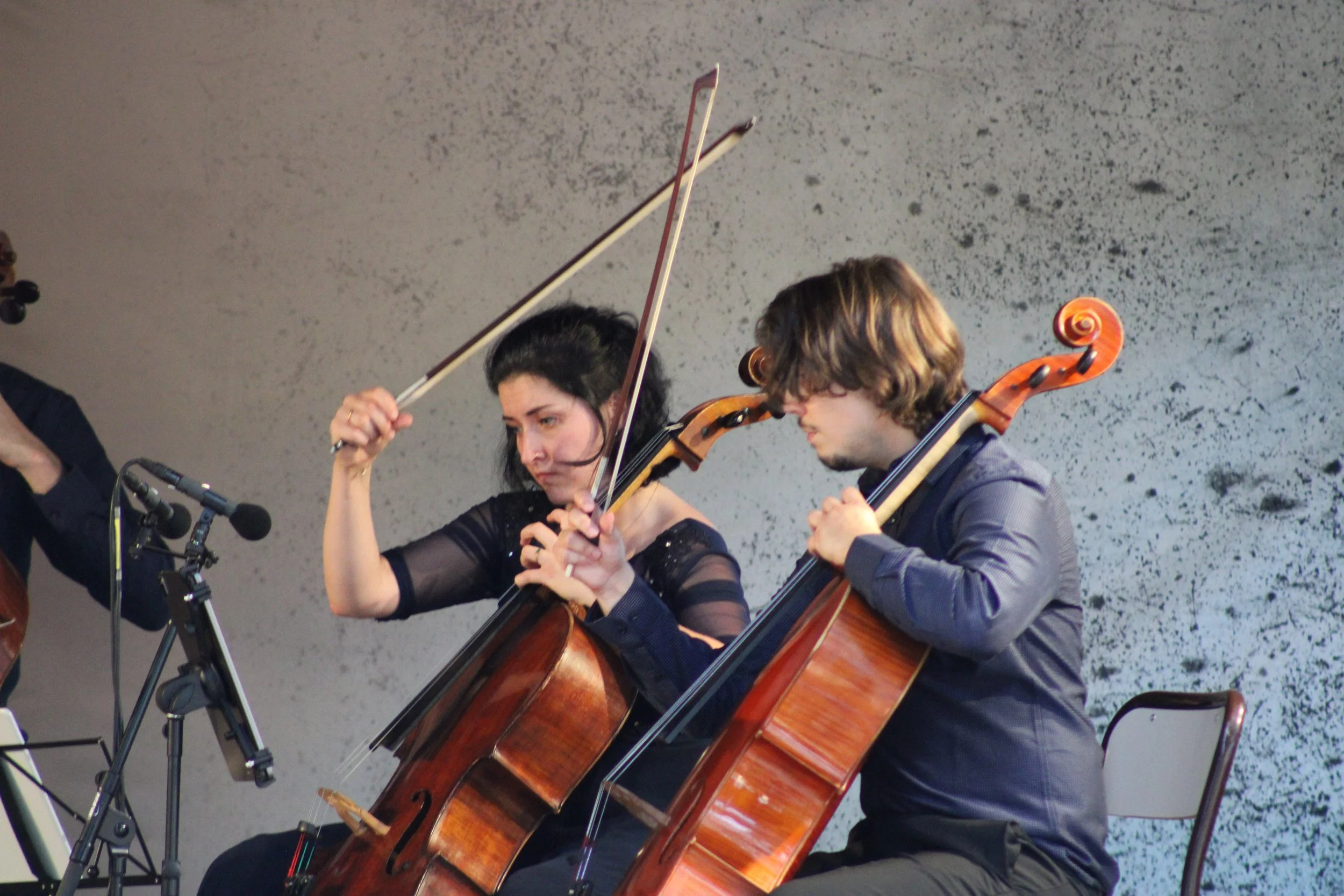 NOUGIER.F_UniCelli 09-08-24_n°29.JPG