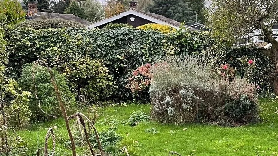 Garden+Overhaul+_before.jpg