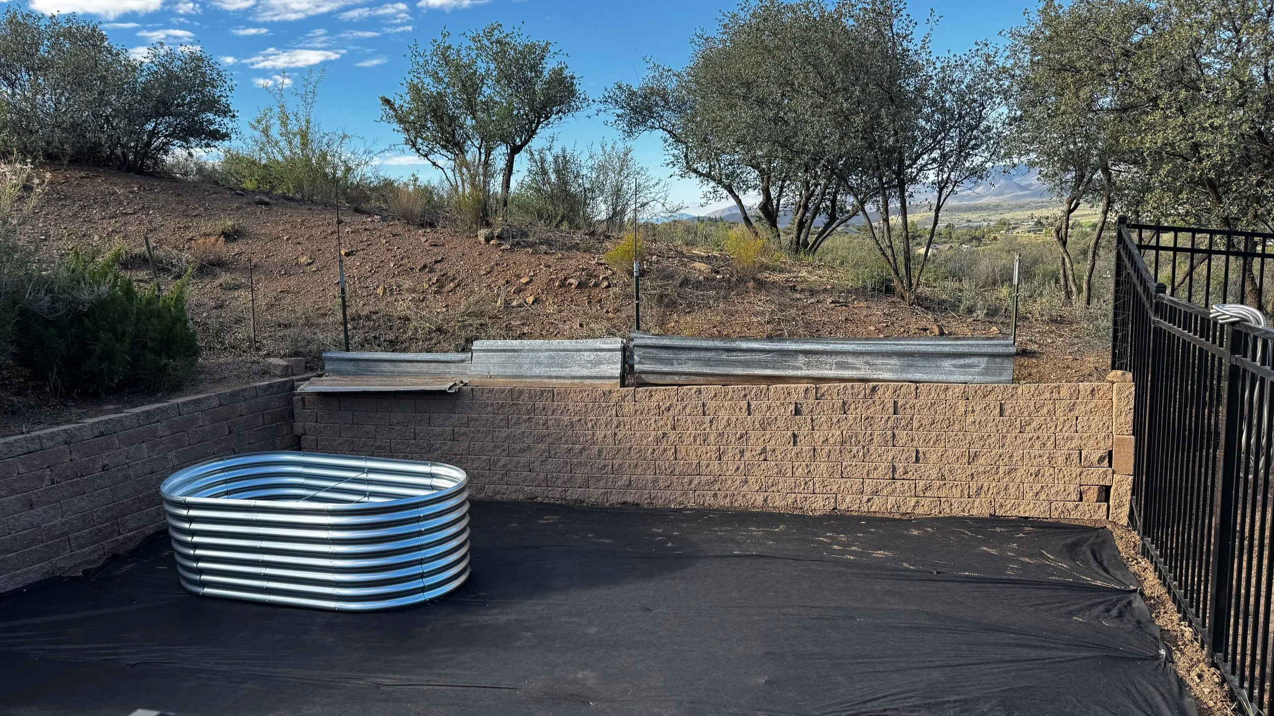 Arizona+after.png