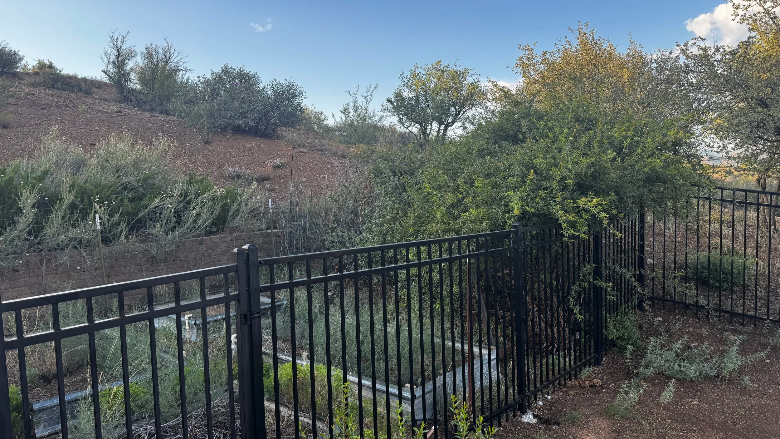 Arizona+before.png
