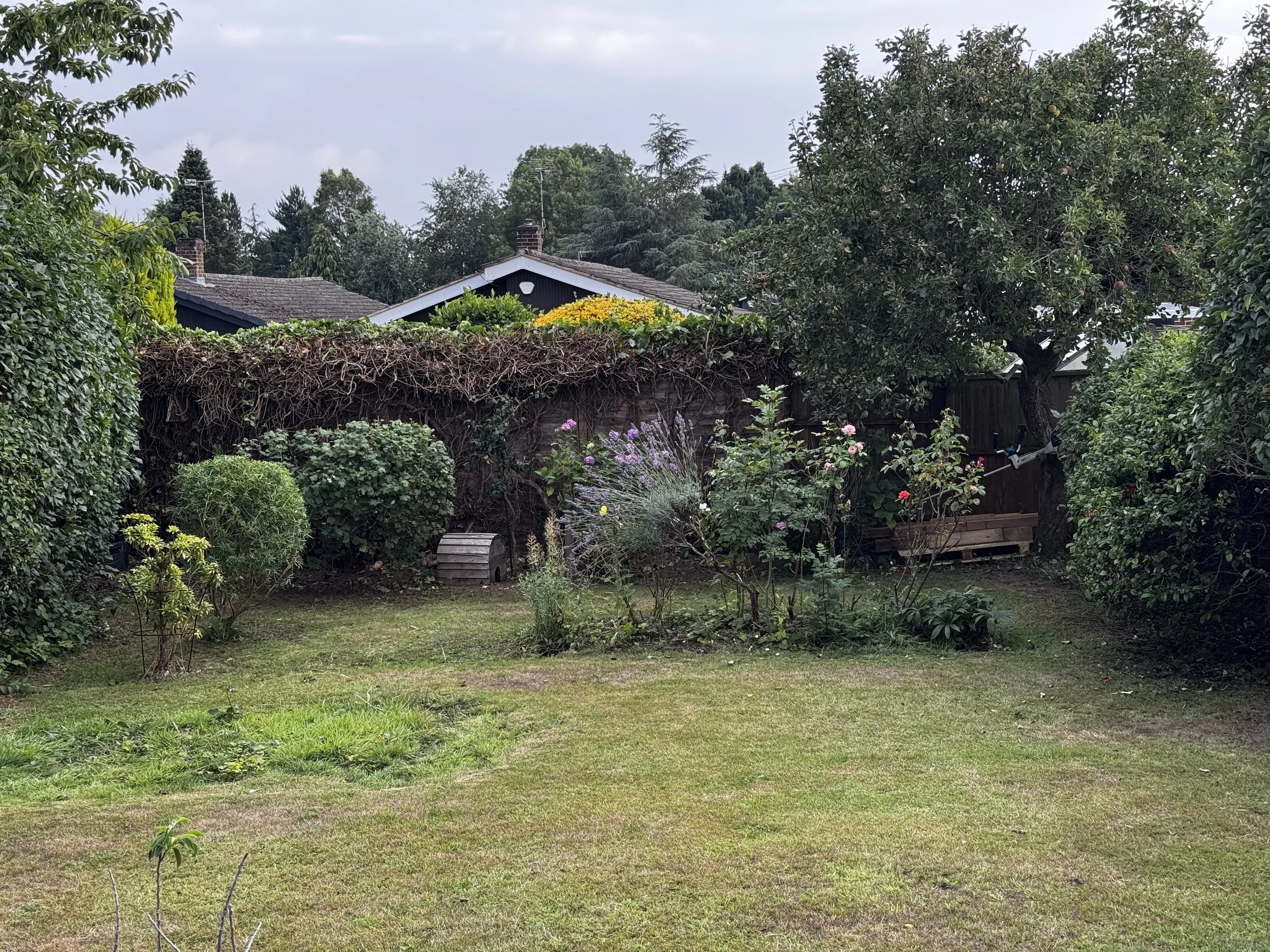 Home & Garden Services Rosebed 1.JPG