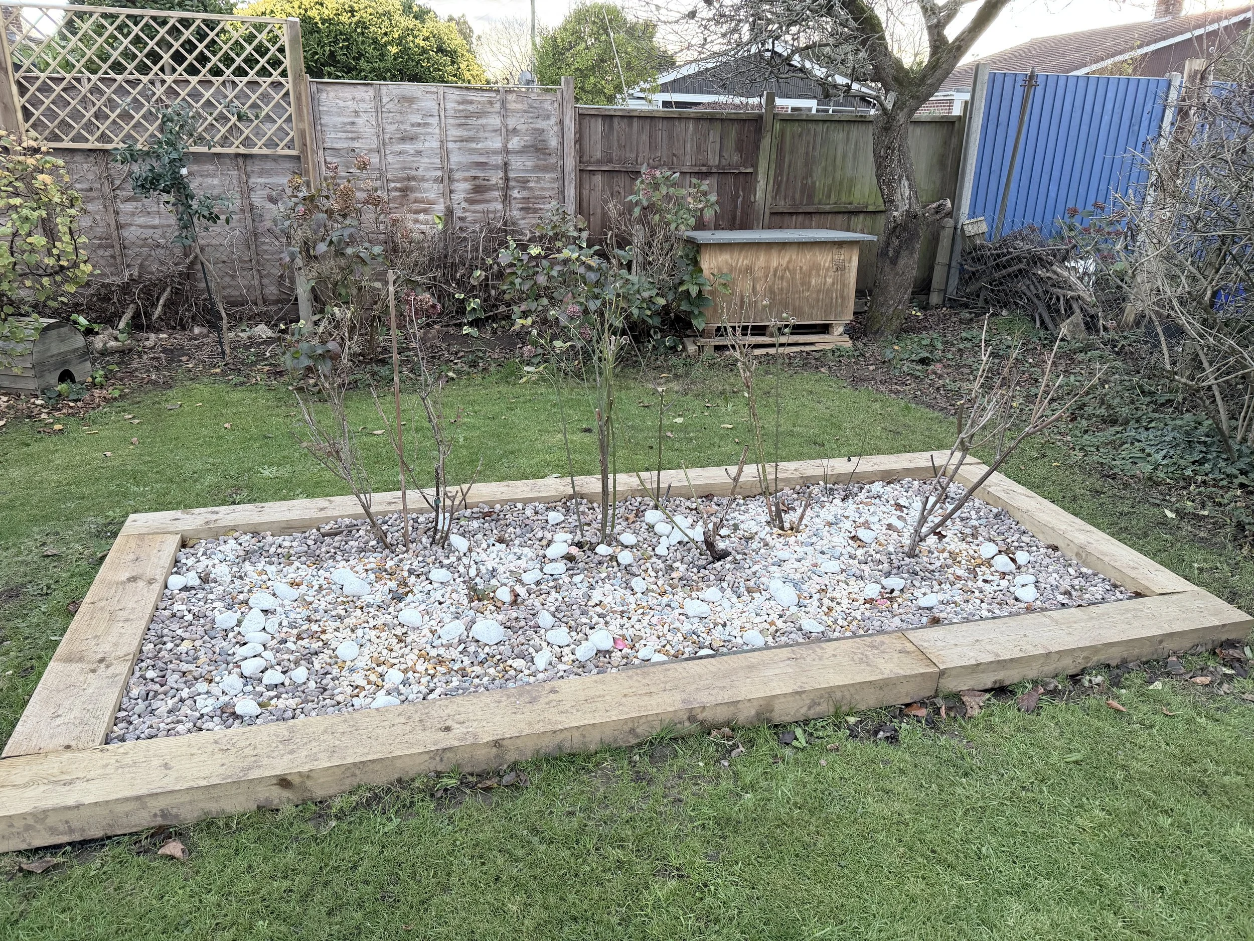 Home & Garden Services Rosebed 2.JPG