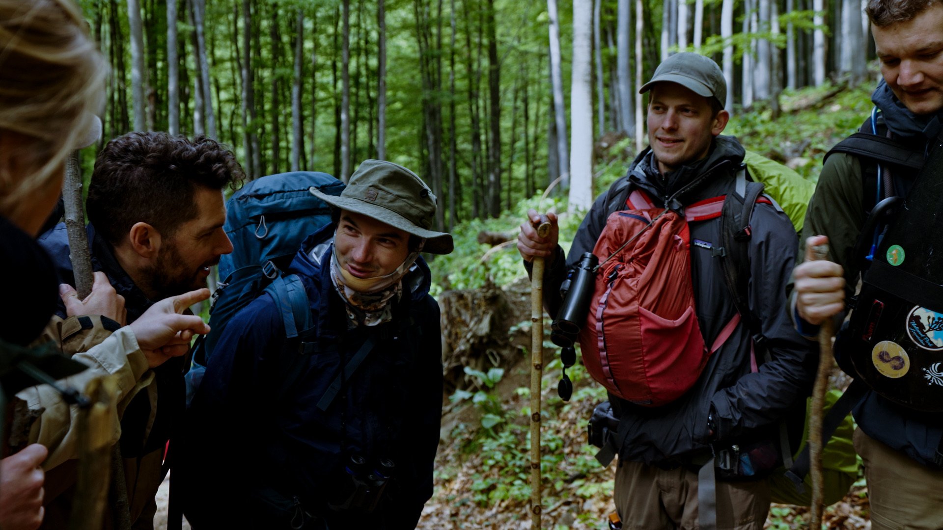Group of hikers in a green forest, having a conversation, wearing backpacks and outdoor gear.