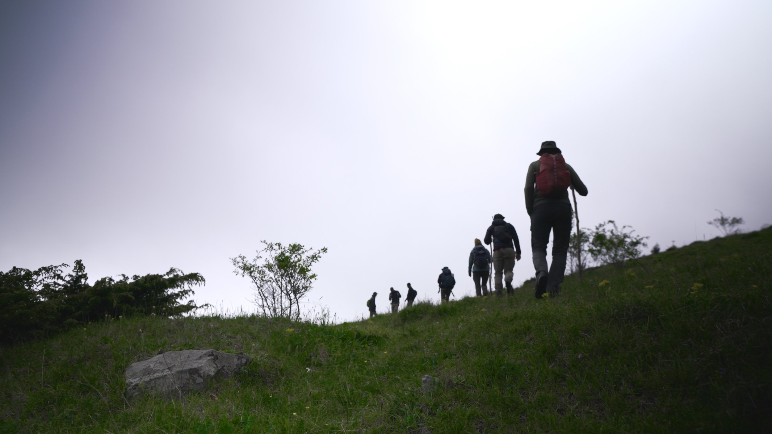 Group of hikers walking uphill on a trail through grassy terrain with trees, under a cloudy sky.