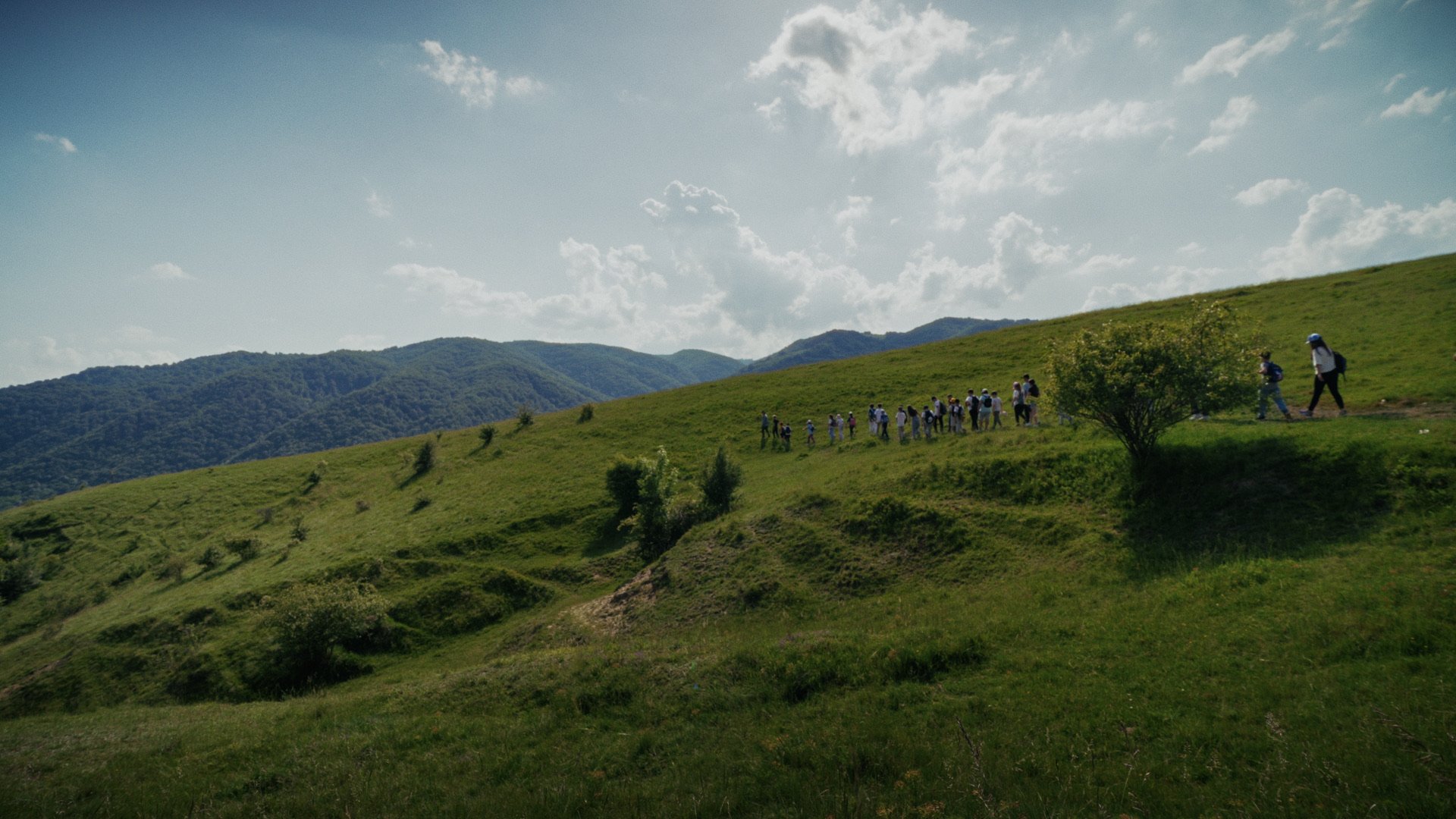 A group of people walking along a grassy hillside on a sunny day with a mountain range in the background.