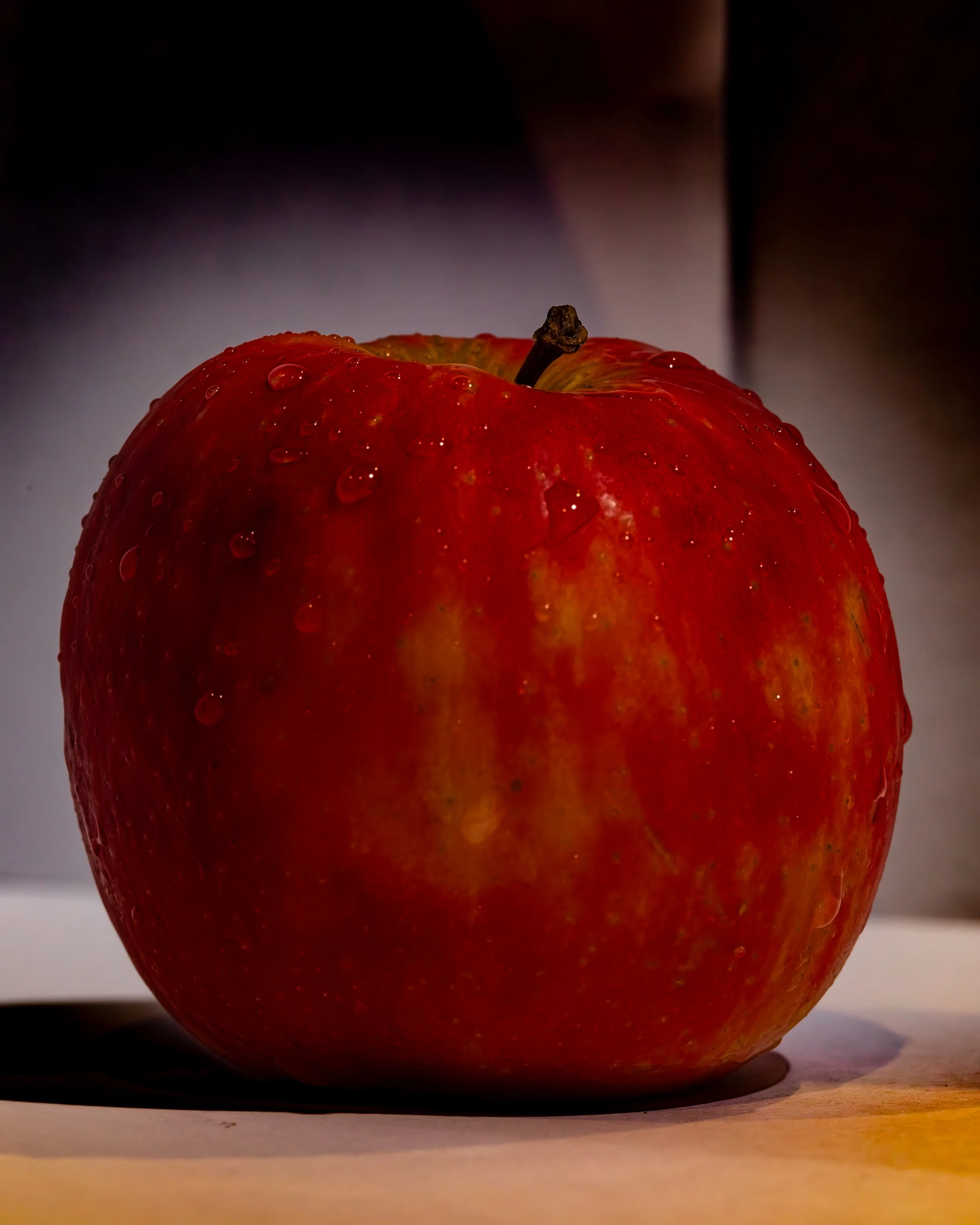 191A3019-Enhanced-NR-2.jpg
