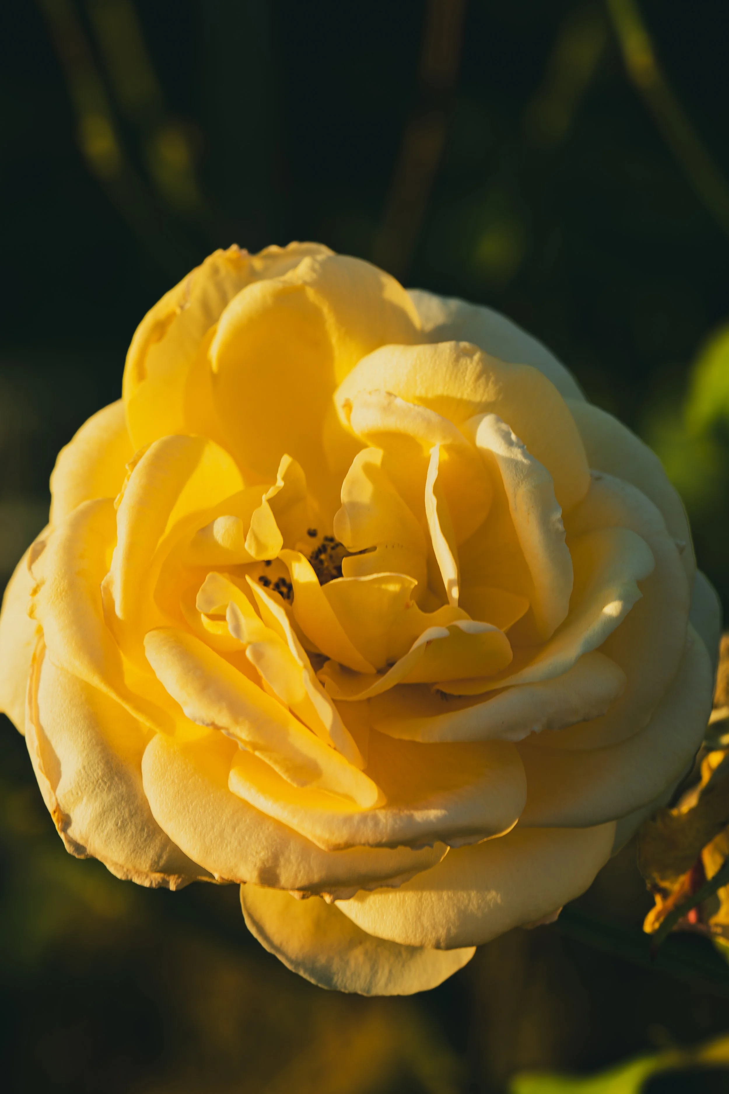 191A0281-Enhanced-NR.jpg