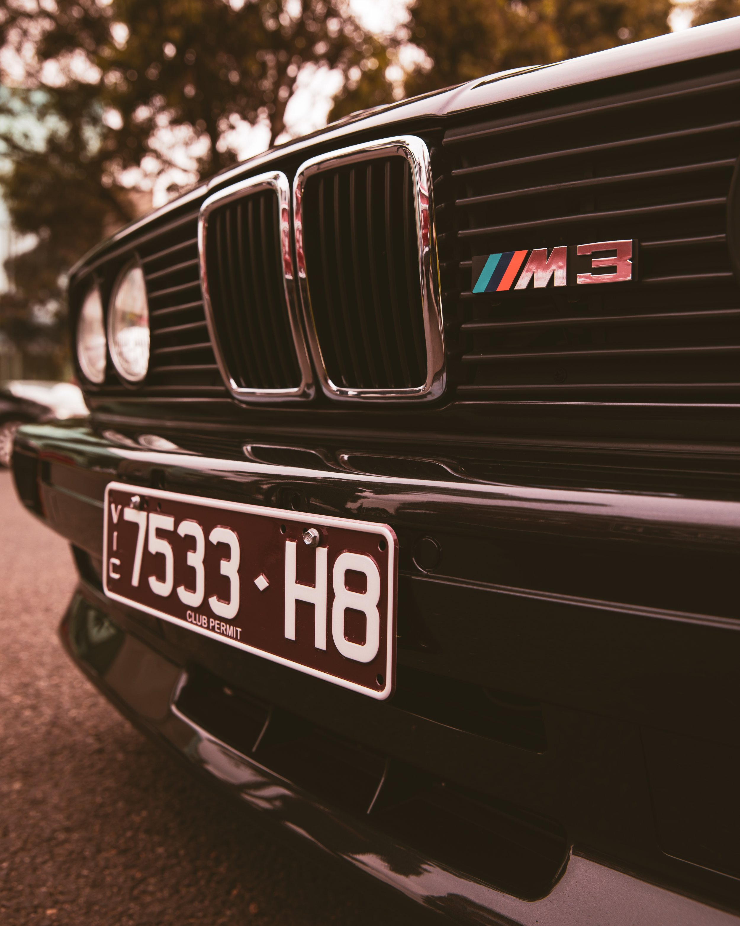 191A4935.jpg