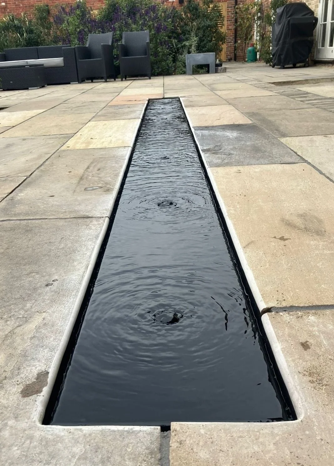 Untitled design-2.jpg