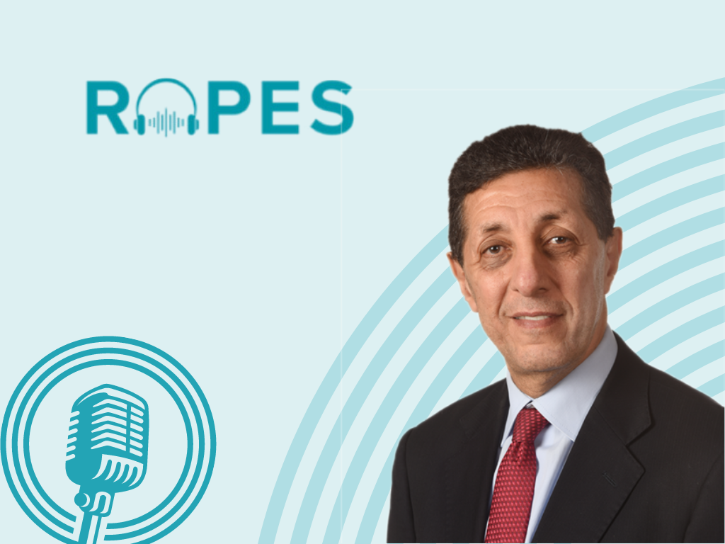 ROPES.ORG - The Regional Organization for Peace, Economics & Security ...