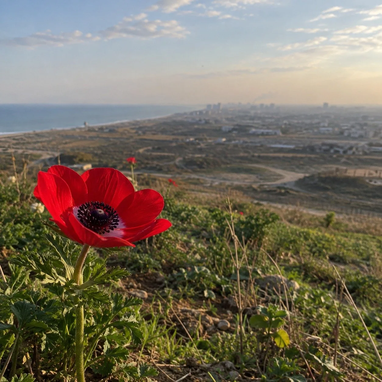 In Remembrance