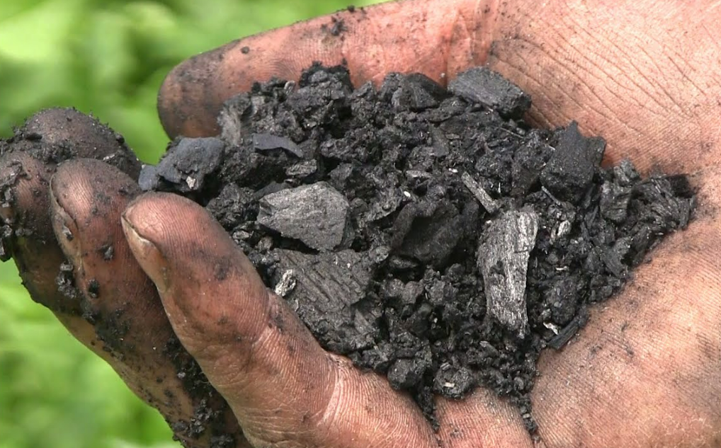 Biochar Making