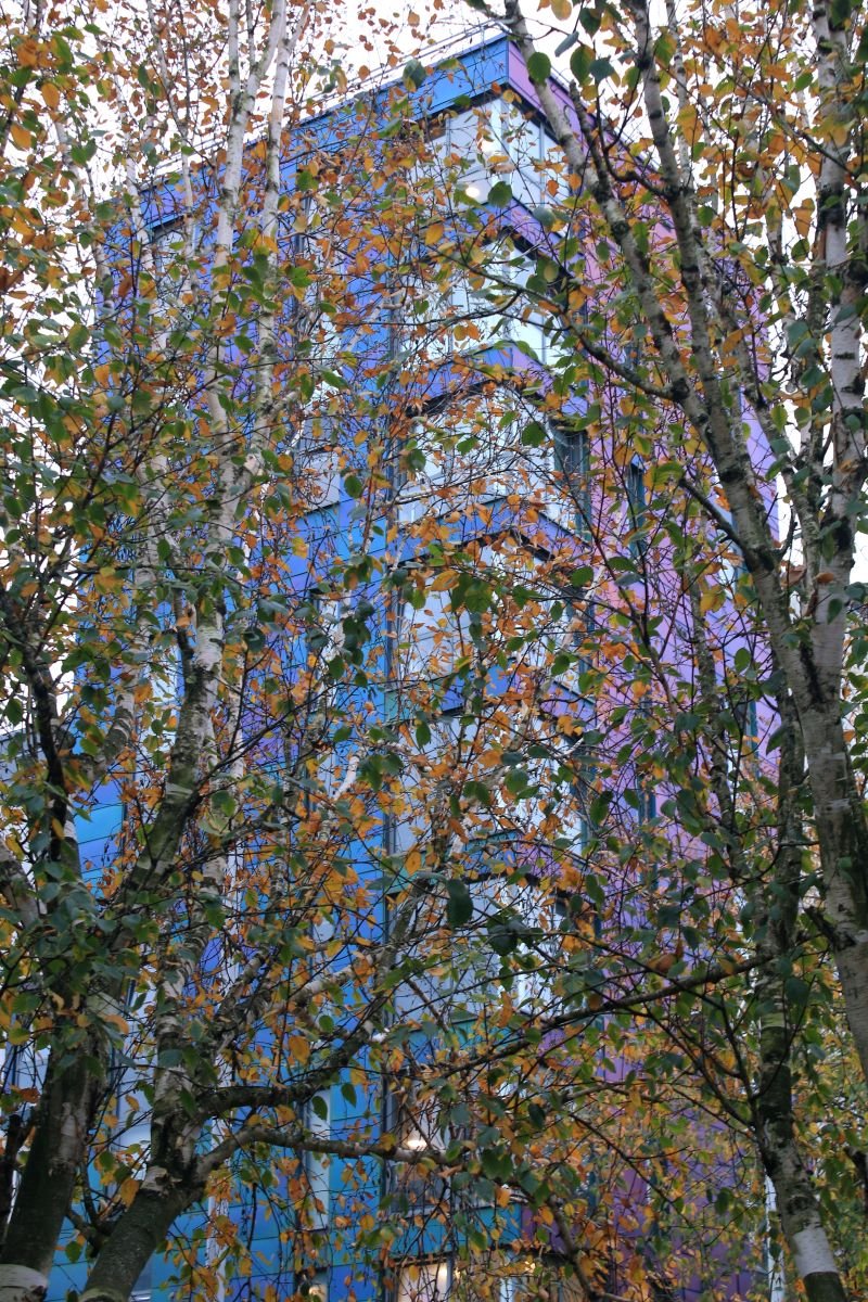 Man and Nature by Keith Langston (13)