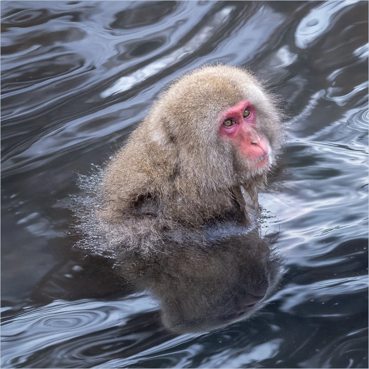 The Water is Lovely_Anne Logan.jpg