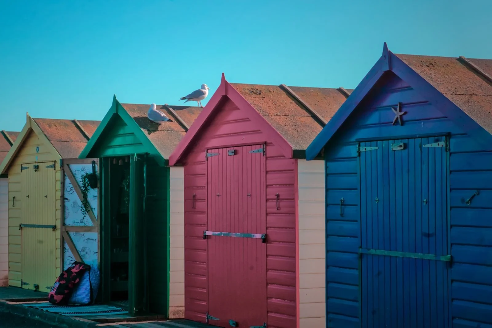 I See No Ice Creams by Jacob Langston (15)