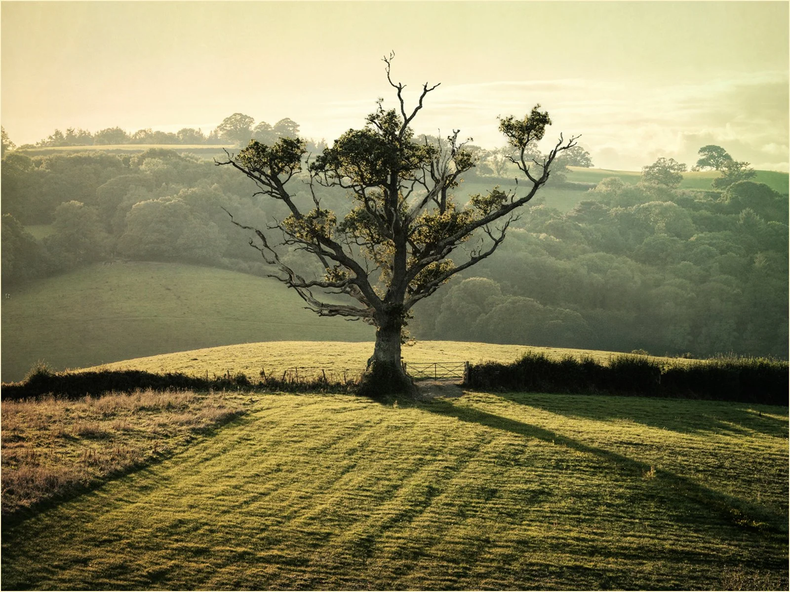 Early Evening Fordton by Mick Wells (14)