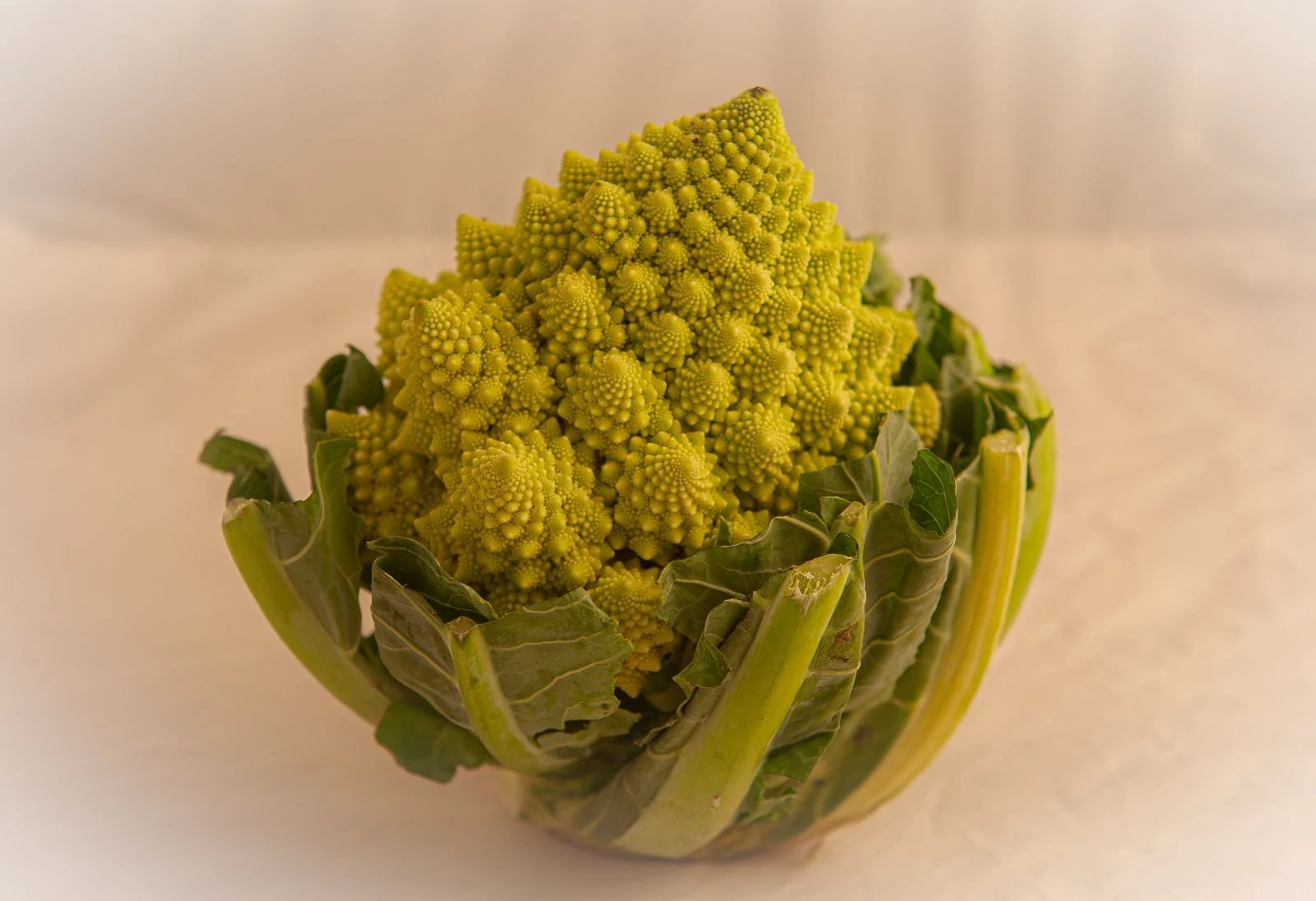 Nature at its Best_David Reid.jpg