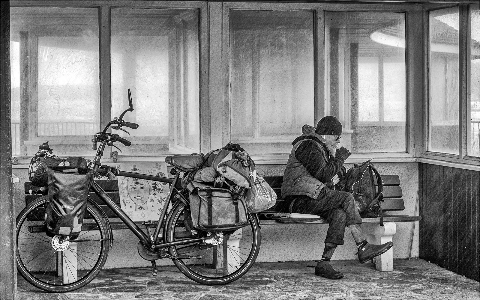 Gimme Shelter by Anne Logan (19 Second Place)