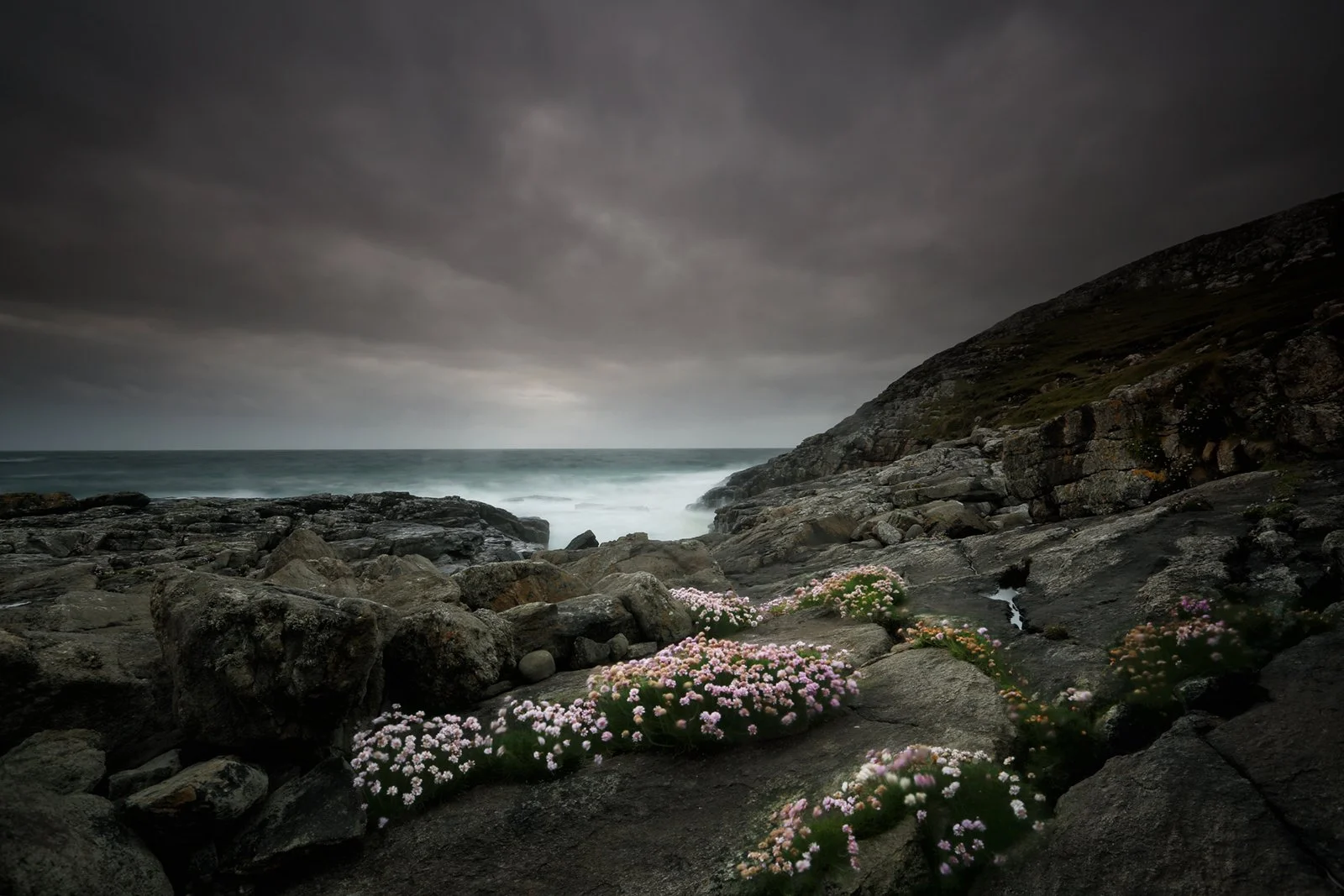 Thrift by Mick Wells (20 First Place)