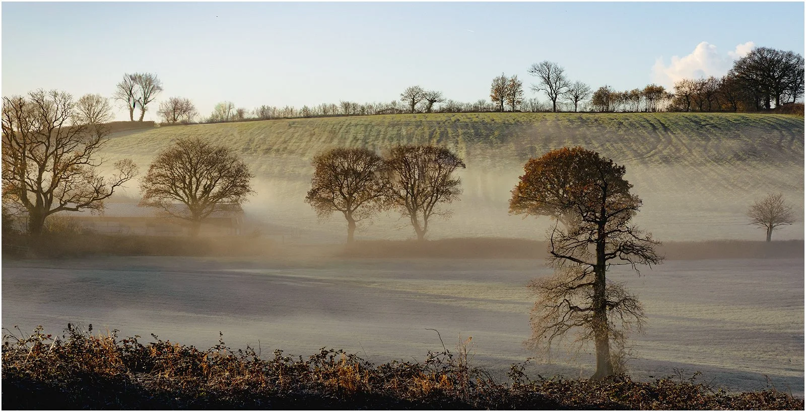 Autumn Morning by Mike Porter (16)