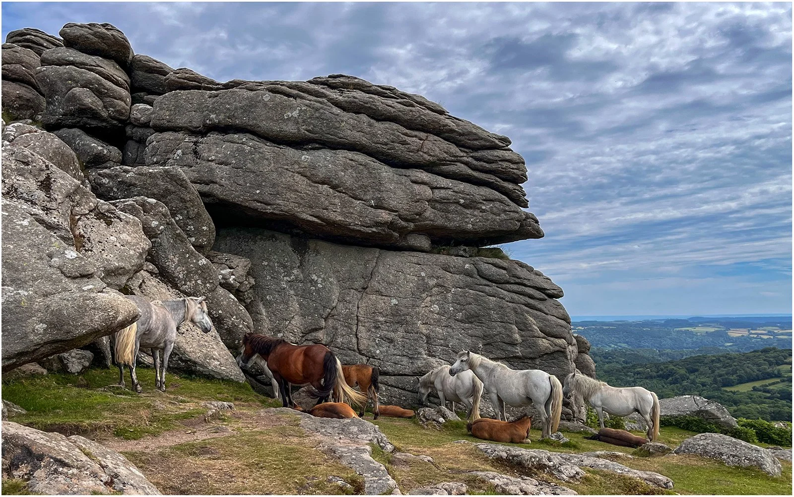 Hound Tor_Mike Porter.jpg