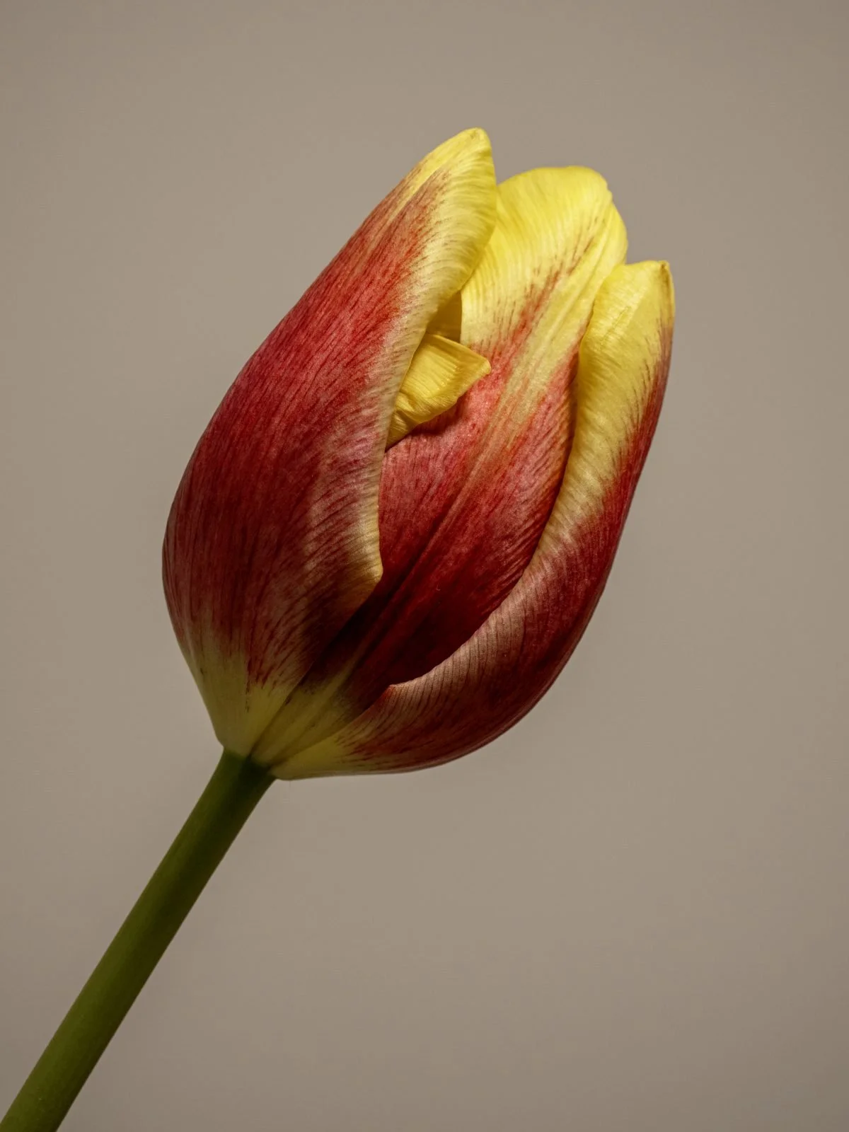 Beautiful_Mike E.jpg