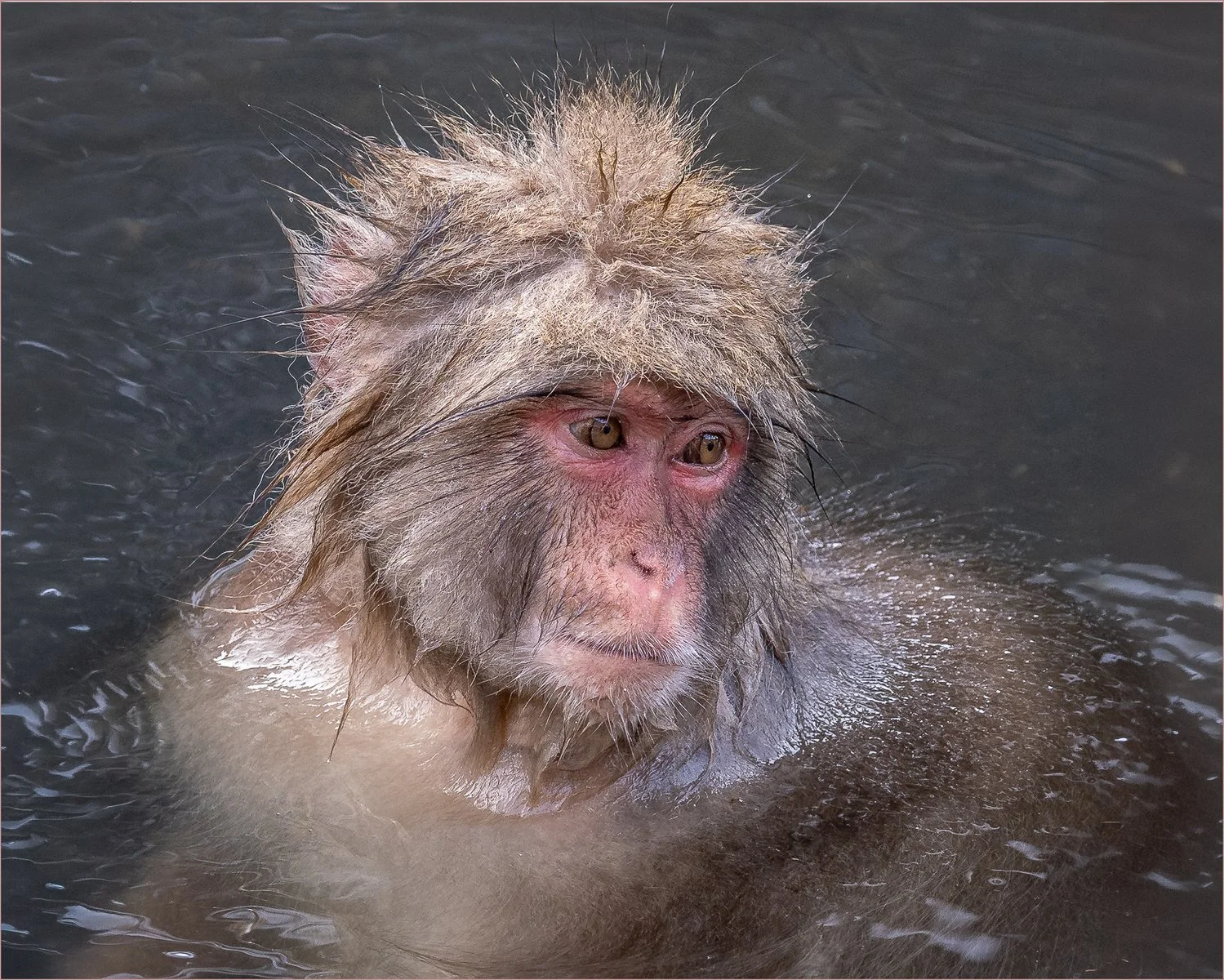 Bathtime by Anne Logan (19 Joint Second Place)