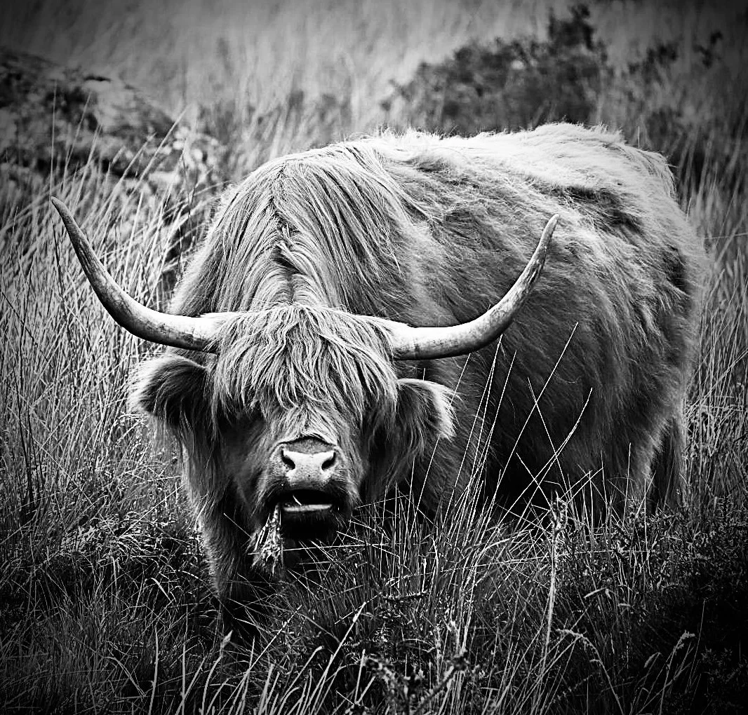 Here's Looking at You Kid by Tina Garrard (17)