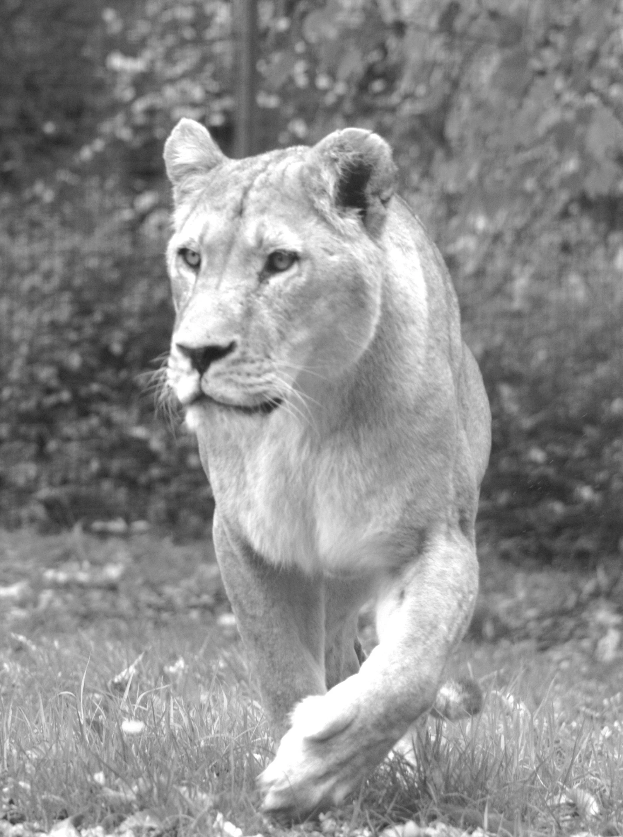 Only Eyes For You by Emma Wyer (12)