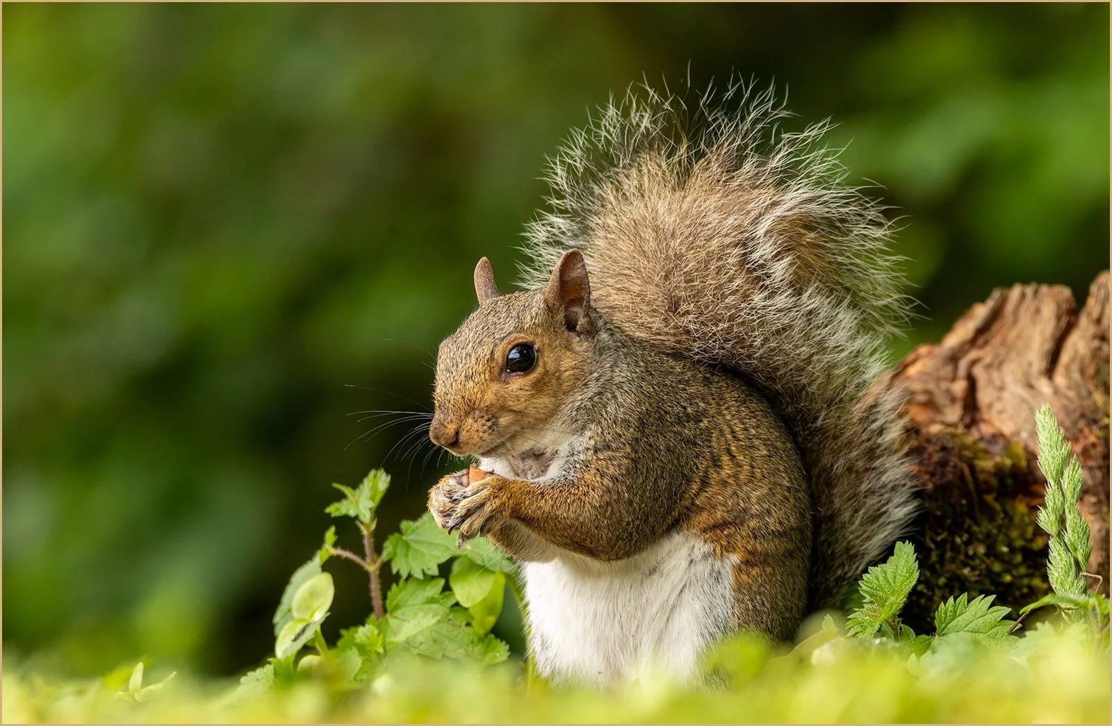 Munch Time_Mike Porter.jpg