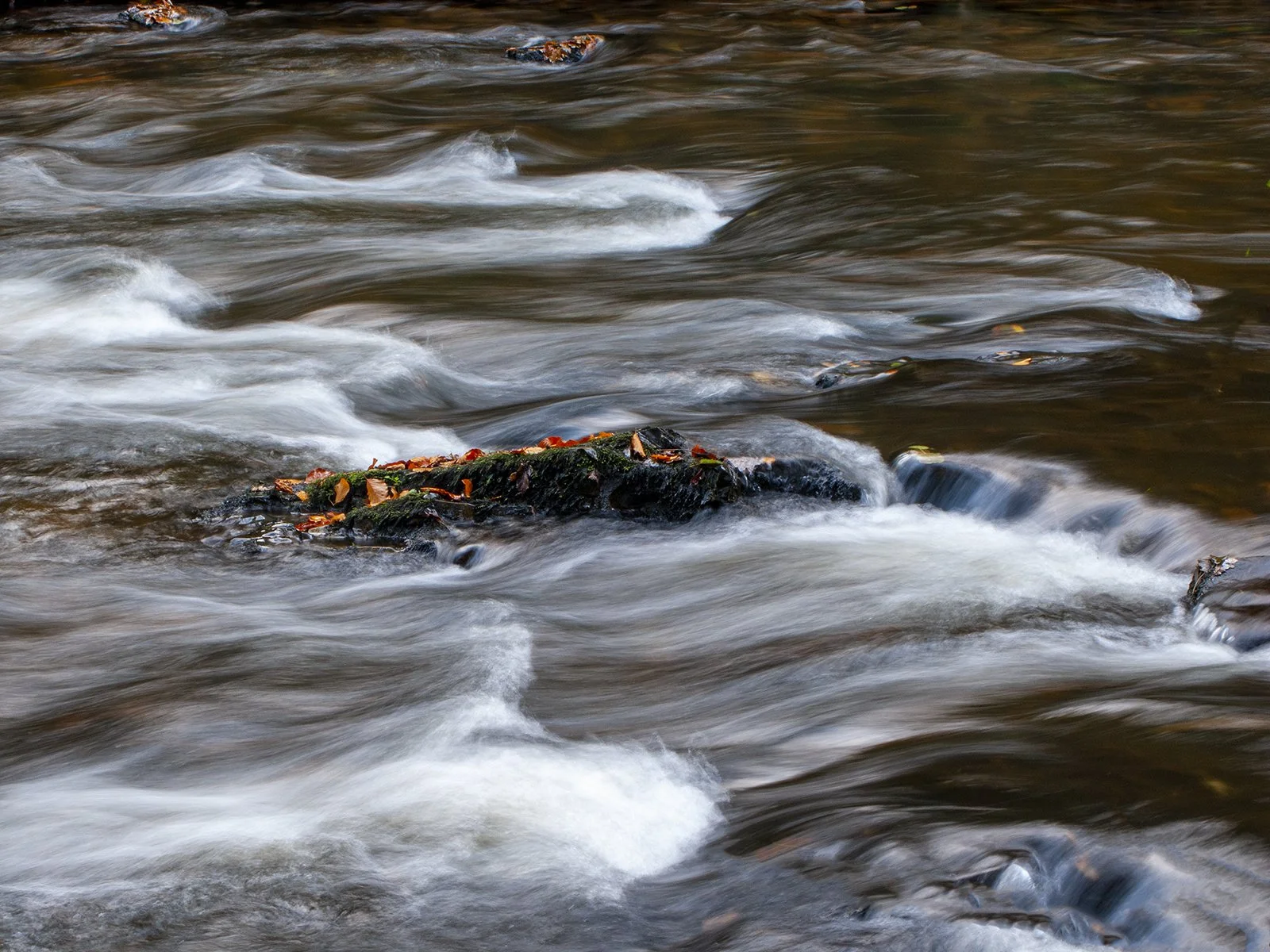 Stranded by Mike Elliott (12)