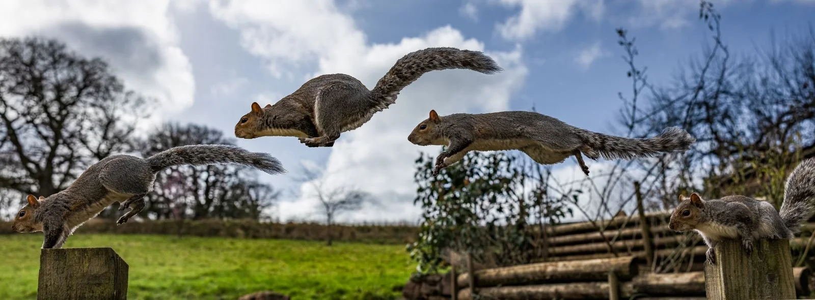 Leap of Faith by David Reid  (18 Third Place)