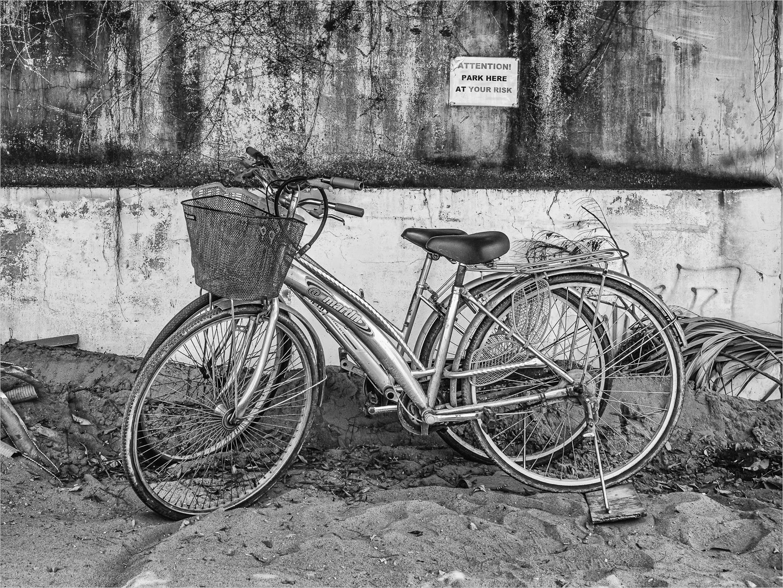 Parked by Anne Logan (17)