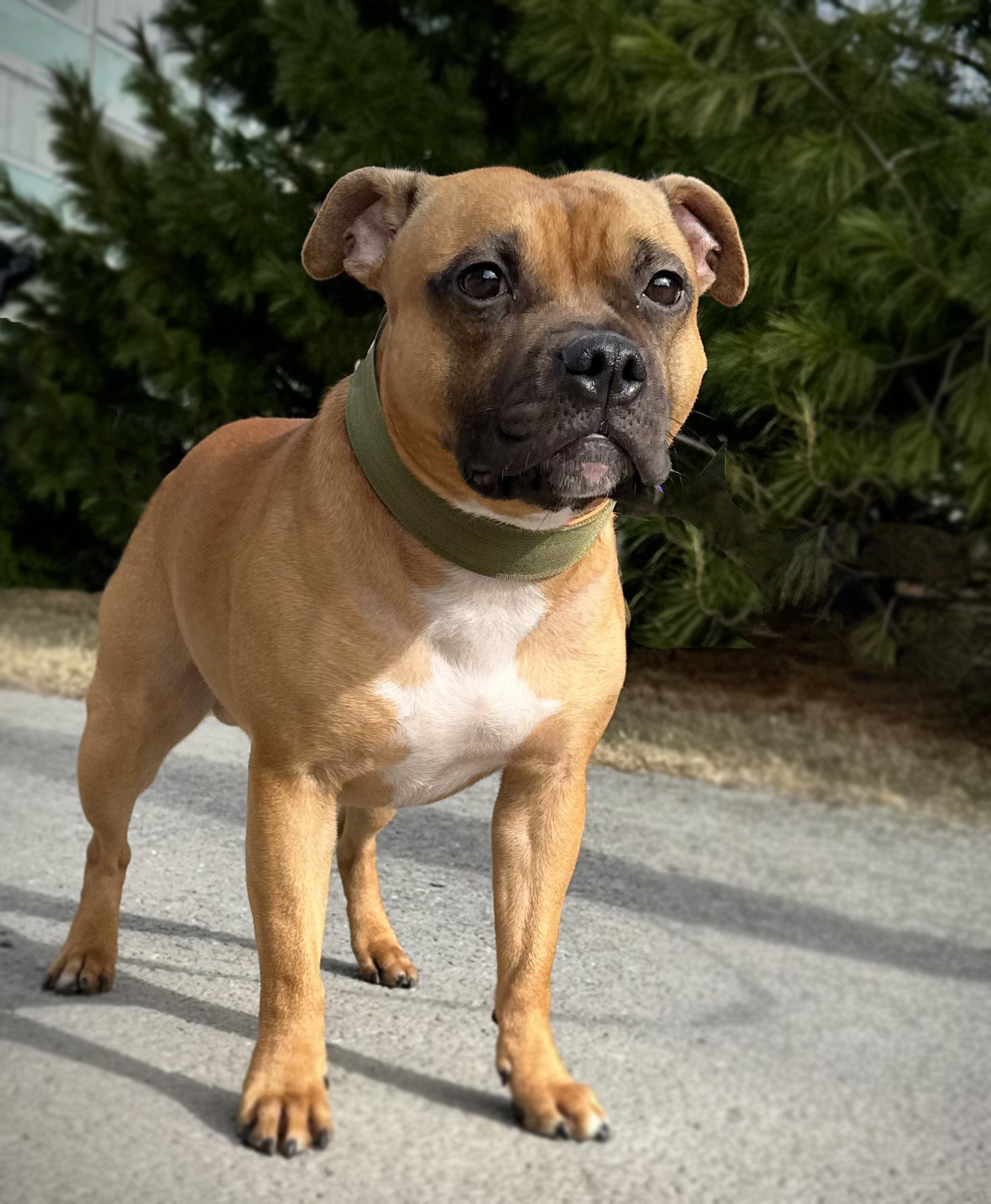 Vuoden staffi 2025 NW-tulokas