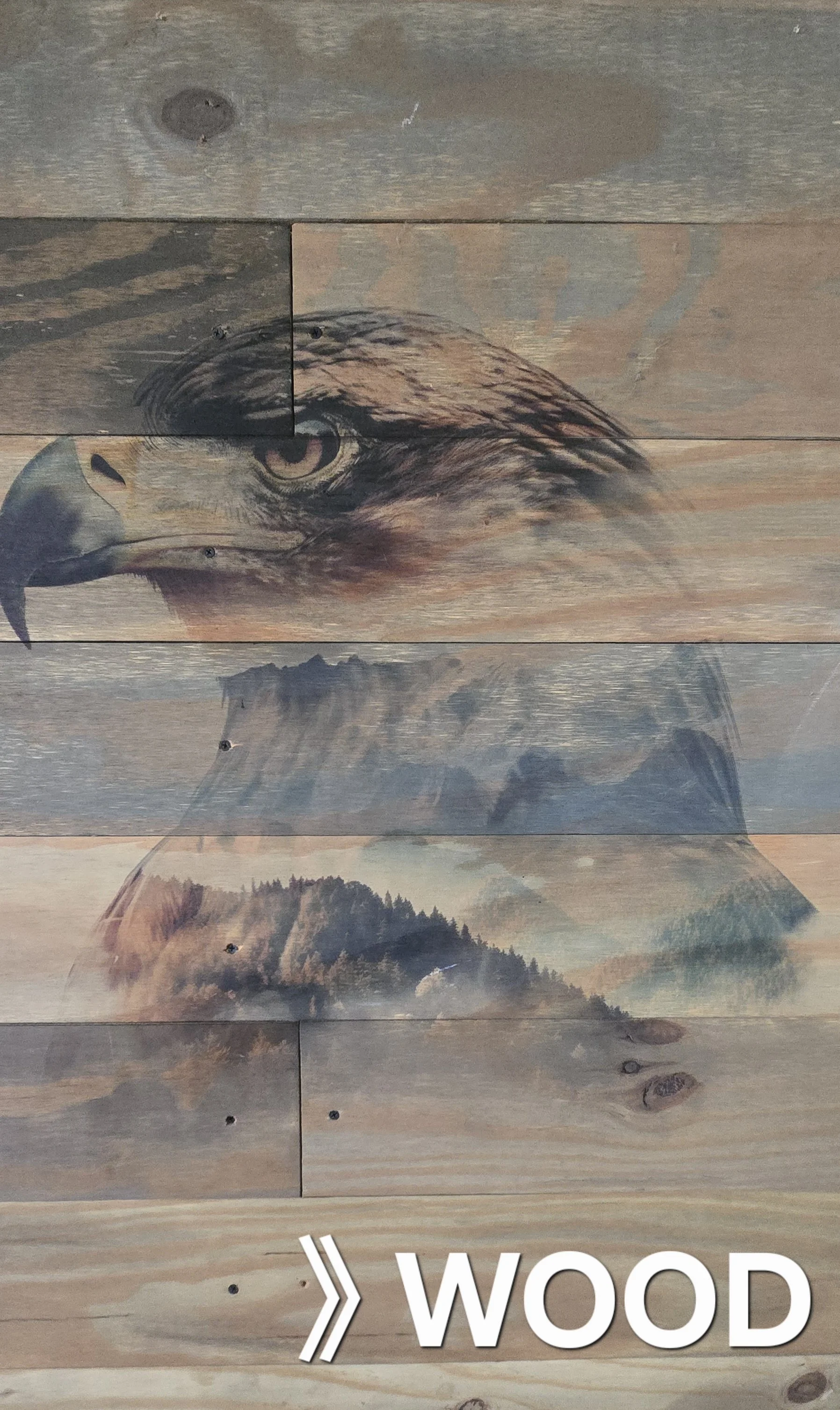 Wooden wall with a painted eagle head and mountain landscape, and the word 'WOOD' at the bottom.
