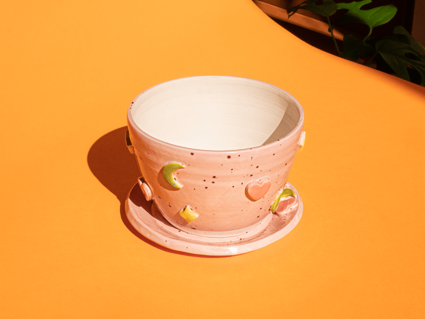 Cosmic-Bloom-Planter-Packshot-01-WEB.png