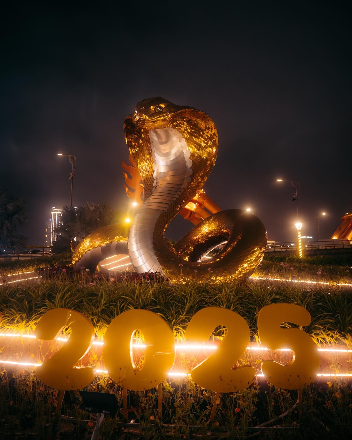 Evenings in Da Nang 🌃
The celebrations for the Year of the Snake are in Full force in the Streets of Da Nang. A cobra sculpture crafted by artisan Dinh Van Tam is displayed in Da Nang’s park west of the Dragon Bridge. Made of plastic, iron,