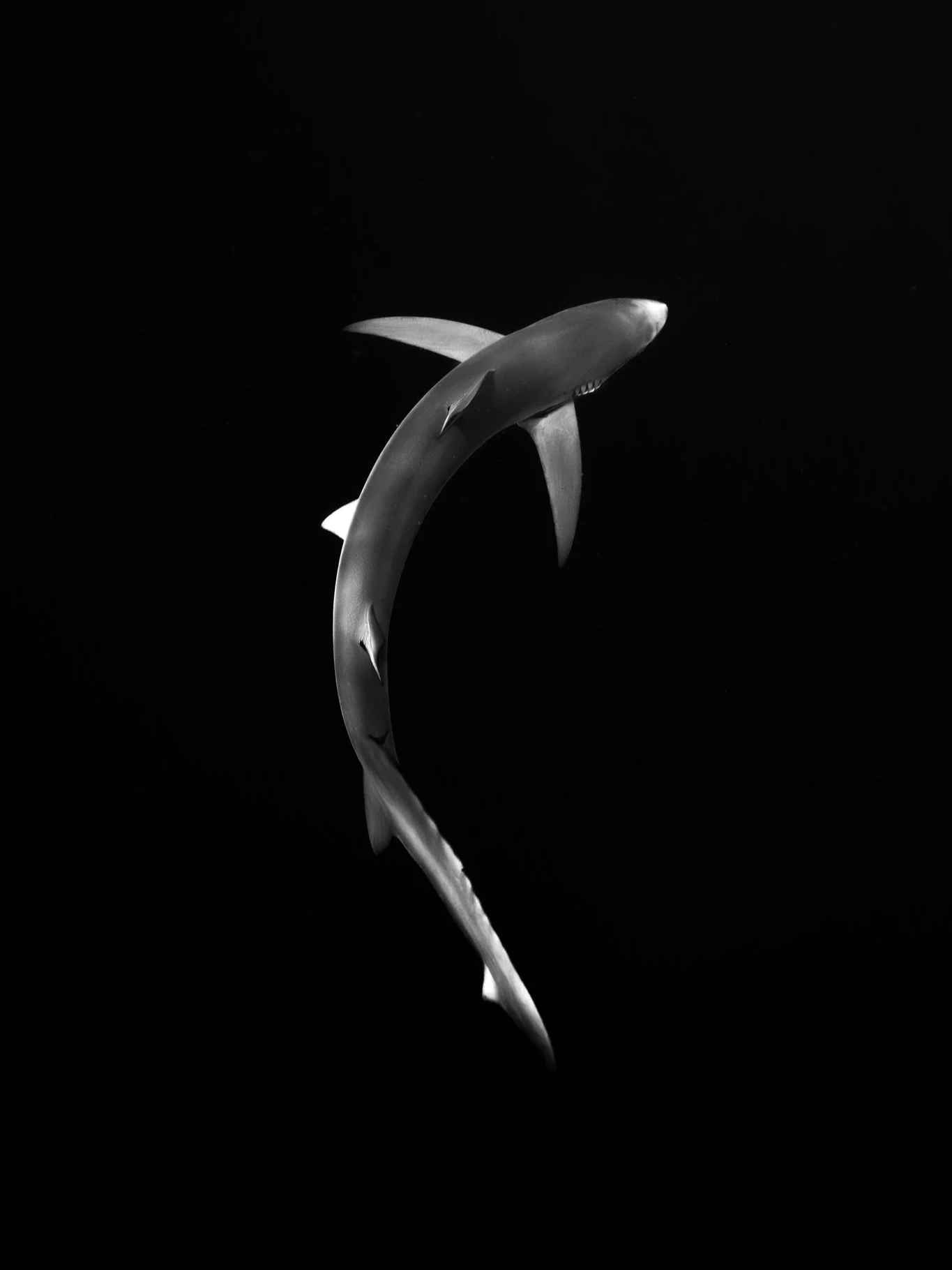 DSC08715.png