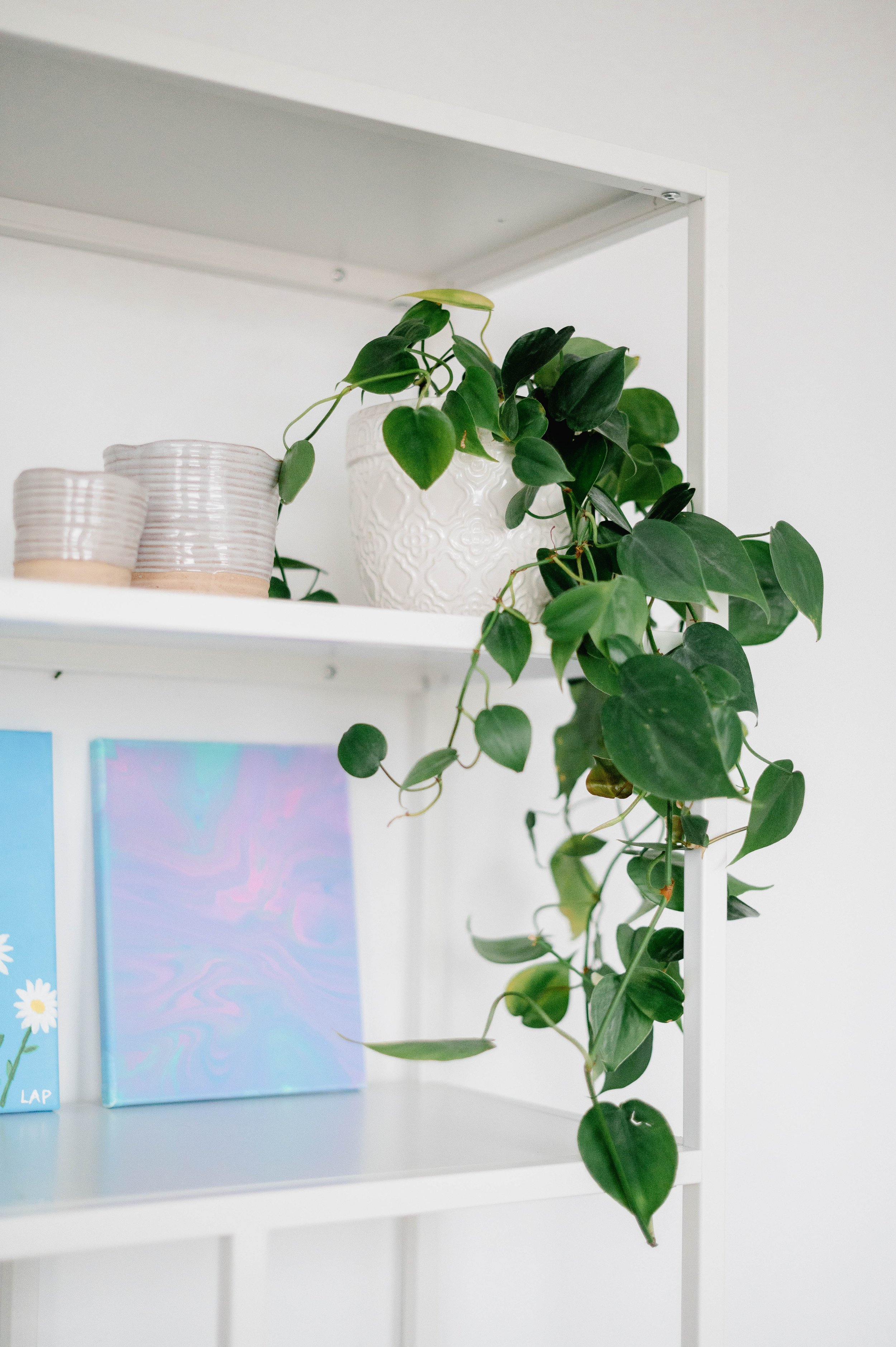 A white shelf with potted plants, ceramic bowls, and paintings.
