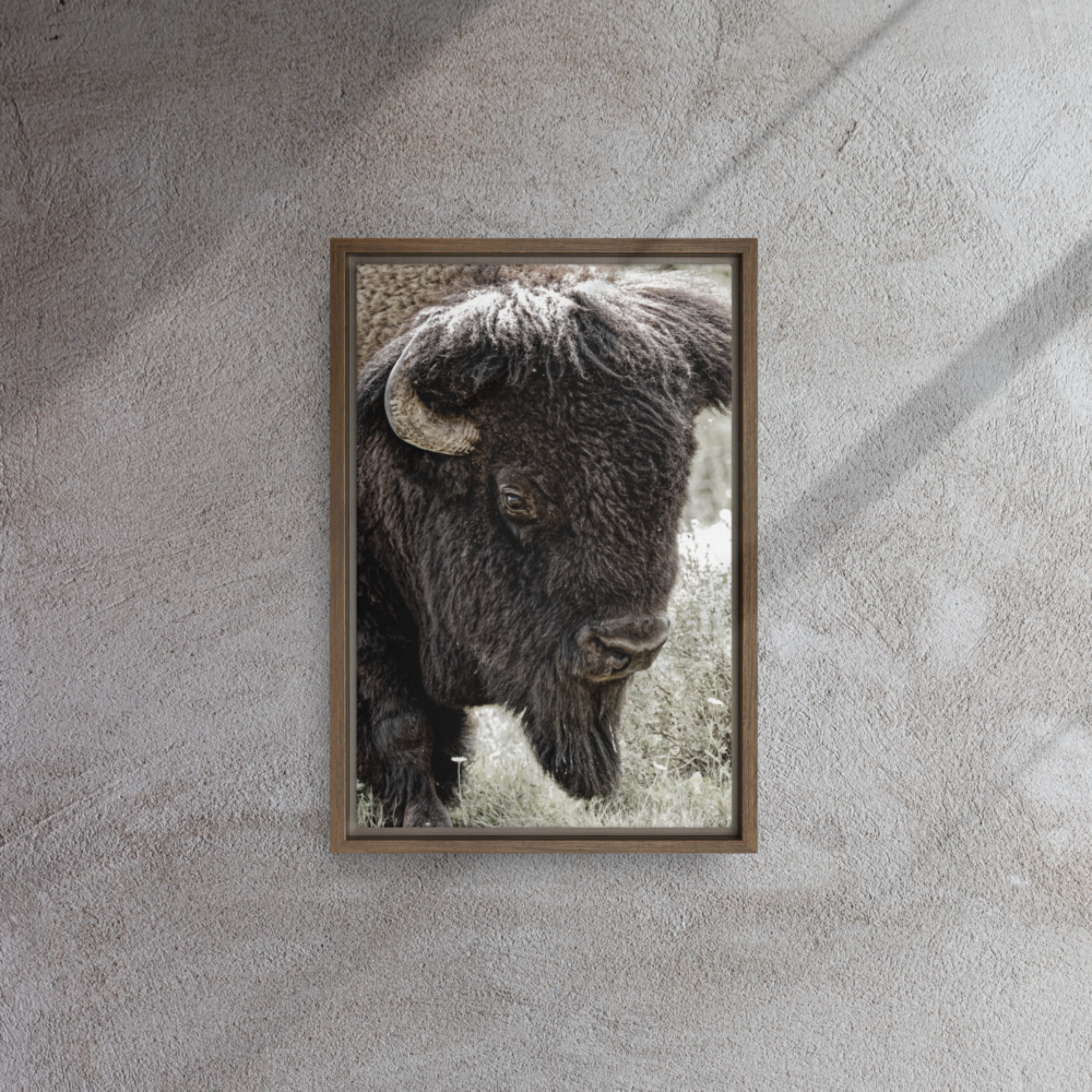 Rugged Spirit: A North American Bison Framed Canvas